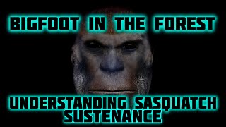 BIGFOOT IN THE FOREST - SUSTENANCE