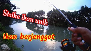 10 # Mancing bareng konco bolo | hasil gak seberapa yang penting hepi