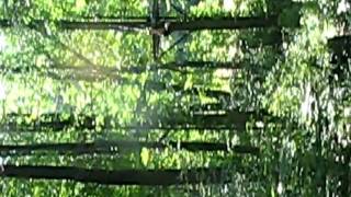 Canopy Tour at Spring Mountain Adventures: Zipline