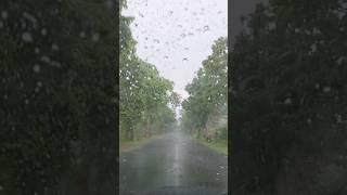 #longdrive #forest #monsoon #belpahari #rainyday #shortsvideo #travel #viral #viralvideo #nature