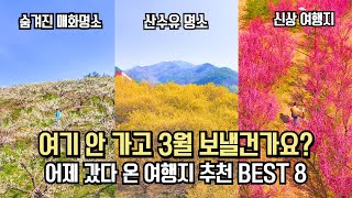 국내 여행 추천 놓치면 후회할 실시간 3월 봄 명소 BEST 8