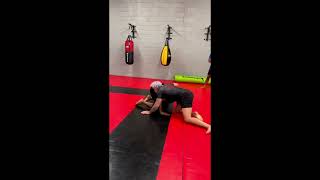 Jon Jones vs Gordon Ryan Grappling Match