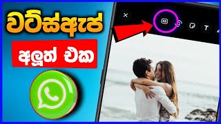 whatsapp new useful update in 2023sinhala | hd photo send whatsapp sinhala | @SLdamiya