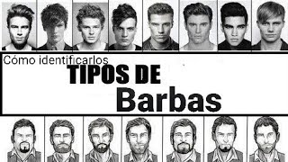 Cómo Identificar Los Tipos De BARBAS FACÍL