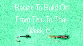 Basics To Build On (Week 6)