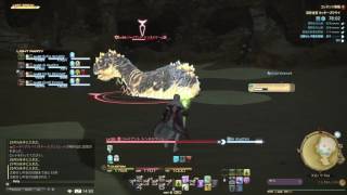 FF14 カッターズクライ 白魔道士