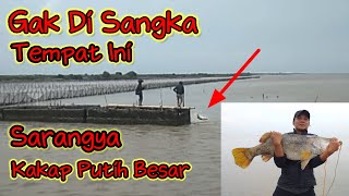 EDYAN NGAK NYANGKA!! Dua orang Mancing Ini,Tepat Di Sarangya,Kakap Putih Besar