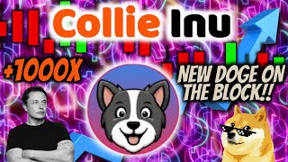 COLLIE INU TOKEN UPDATE , New BSC Coin ! HUGE GAINS 1000X Price Prediction & Analysis How to Buy COE