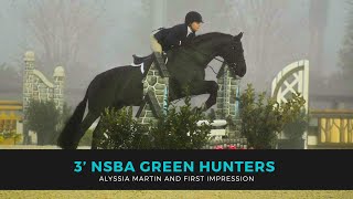 Alyssia Martin & First Impression 3’ Green Hunters World Equestrian Center Ocala WEC #equestrian