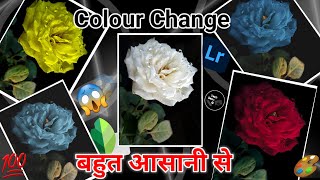 How To Change Flower Colour | Colour Change Photo Editing