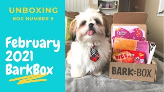 Shih Tzu BarkBox Unboxing | February 2021 | BarkBox Day