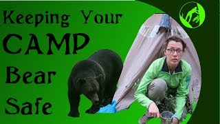 Keeping Your Camp Bear Safe