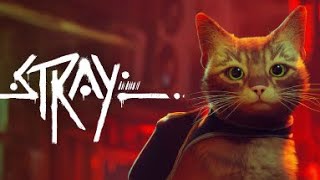 Выбиваю ПЛАТИНУ В ИГРЕ Stray