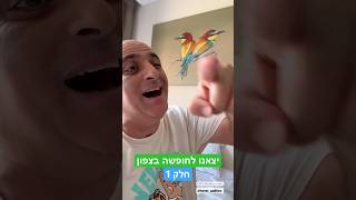 חופשה בצפון - חלק 1 #יובלהמבולבל #שורטס