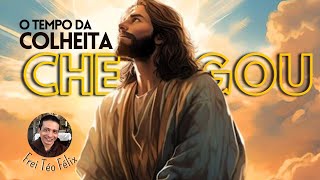 Dia do Senhor - 11° Domingo do Tempo Comum | "Porque o Tempo da Colheita Chegou"