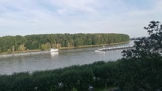 europäische binnenschifffahrt auf Rhein