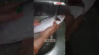 How to Cut Hilsa fish | ইলিশ মাছ কাটার পদ্ধতি | Ilish fish cutting #shorts #ilish #youtubeshorts