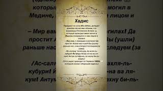 Мир вам, о лежащие в могилах! Да простит Аллах нас и вас! #хадис #hadees #ислам #islam #islamicvideo