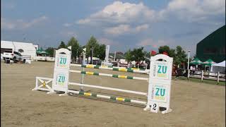 Grand Prix  Kingdom of the Horses from Adunații Copaceni  Romania, 2015 05 17 by Marilena Dumitriu