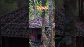 Forest resort in Wayanad. 1 cottage private pool resort booking 6238767247 #travel #resort #wayanad