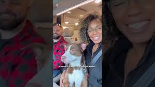 Day In The Life RVing With Pets