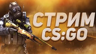 cтрим cs go / кс го