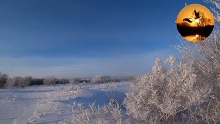 охота на зайца, закрытие сезона)))