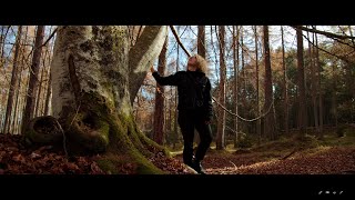 BMPCC 4K / The Forest 4K / Austria