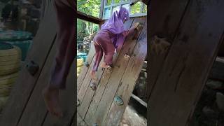 Annasya Liburan Di Ngrembel Asri #shorts #video #liburan #baby #babyhijab #cute #cutebaby #outbound