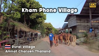 Rural Village 4K 🇹🇭 Ban Kham Phone Village in Amnat Charoen Thailand 2023