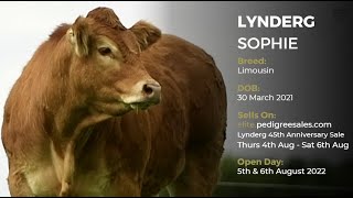 LYNDERG SOPHIE