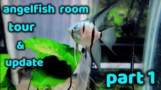 ANGELFISH ROOM TOUR JUNE 2023 PART 1 OF 2