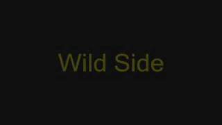 Motley Crue Wild Side(With Lyrics).wmv