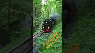 99 7240 im Wald hinter Alexisbad HSB Harzer Schmalspurbahn Selketalbahn