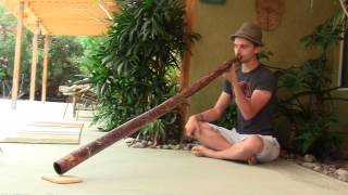 "SG102" Yucca Didgeridoo by Steve Goode