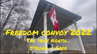 Freedom Convoy 2022: 🇨🇦 Thank you truckers and citizens around the world!