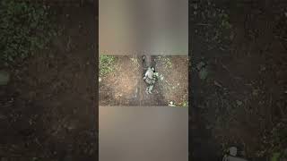 Soldier vs Grenade Drone #shorts #russia #ukraine