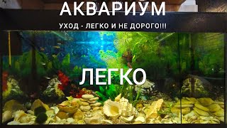 Уход за аквариумом. Как чистить аквариум.