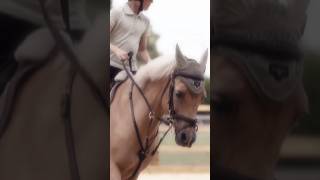 Harlen and Pops are INCREDIBLE 😍❤️😭 #horse #fyp #shorts #viral #blowup #like #follow #edit #10k