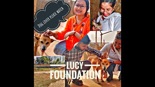 Lucy Foundation(Dog NGO) Gorchuk Opp.ISBT