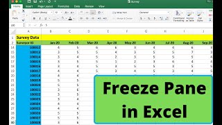 Using freeze pane in Excel in 3 minutes