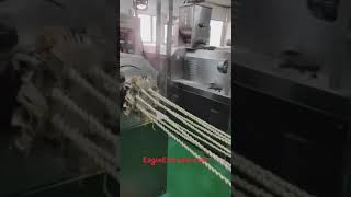 Twisted snack chips extruder machine with cutting and fryer| EagleExtruder.com