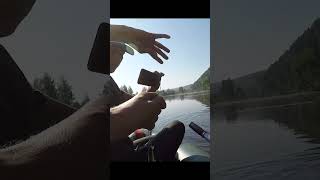 небольшая щучка на верховой воблер! ловля щуки летом #shortvideos #fishing #рыбалка