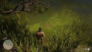 Red Dead Redemption 2 feeding Alligator 4K