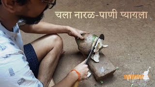 नारळ तोडून पाणी काढताना आलेली मज्जा I Naral todun pani kadhatana aleli majja #MAniArtTour