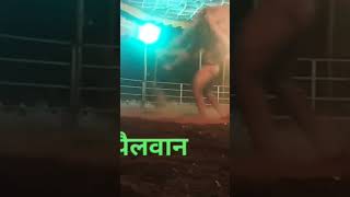 पैलवान दादा जाधव #kusti #kushti #hasanyazdani #dance #fitness #indianwrestling #wrestlingindia