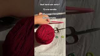 A ver quien escoge la correcta👀 #crochet #ganchillo #crochetpatterns #crochettutorial #quiz #guess