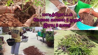 மாடித்தோட்ட ஆடி பட்டத்திற்கு பழைய தொட்டி மண் ரெடியாக Soil Mixture/How To Make/Gardening