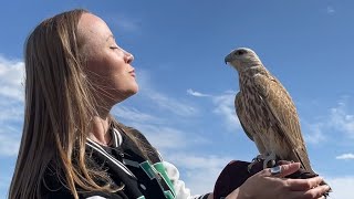 Владеешь соколом - владеешь деньгами ОАЭ