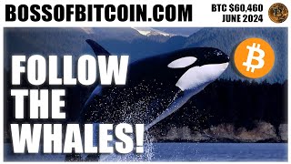 Bitcoin BTC Price Today $60,460 🌟 Technical Analysis, Price Prediction & Live Crypto News!